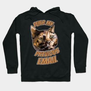 Purr My Previous Email Hoodie